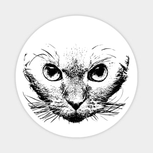 Devon rex Magnet